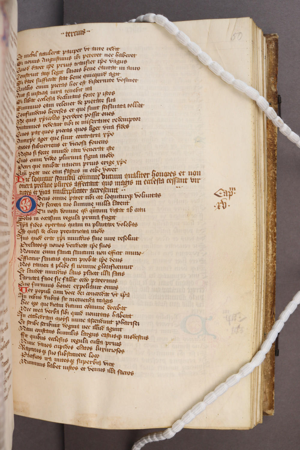 Folio 50 recto